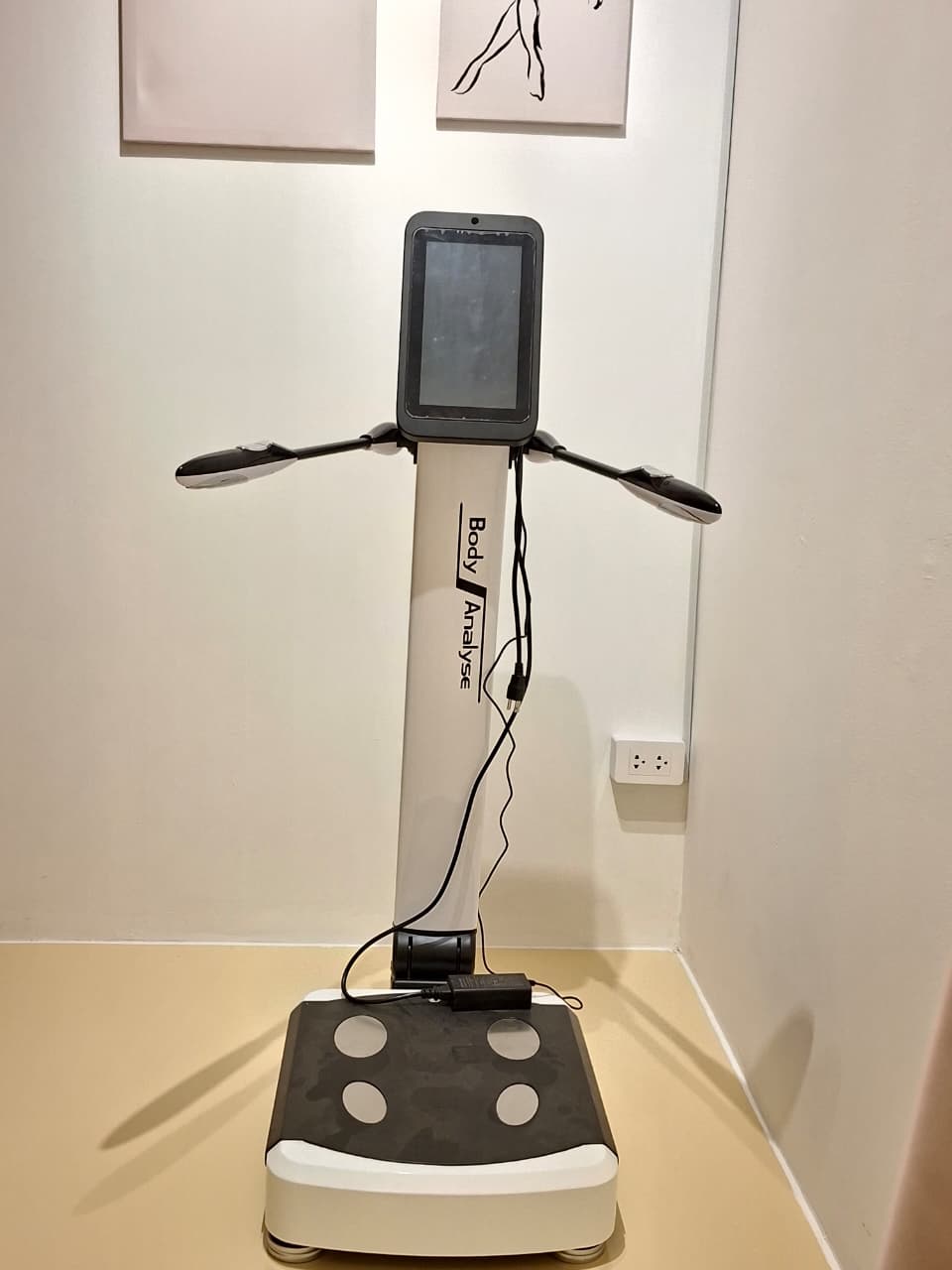 Body Composition Assessment